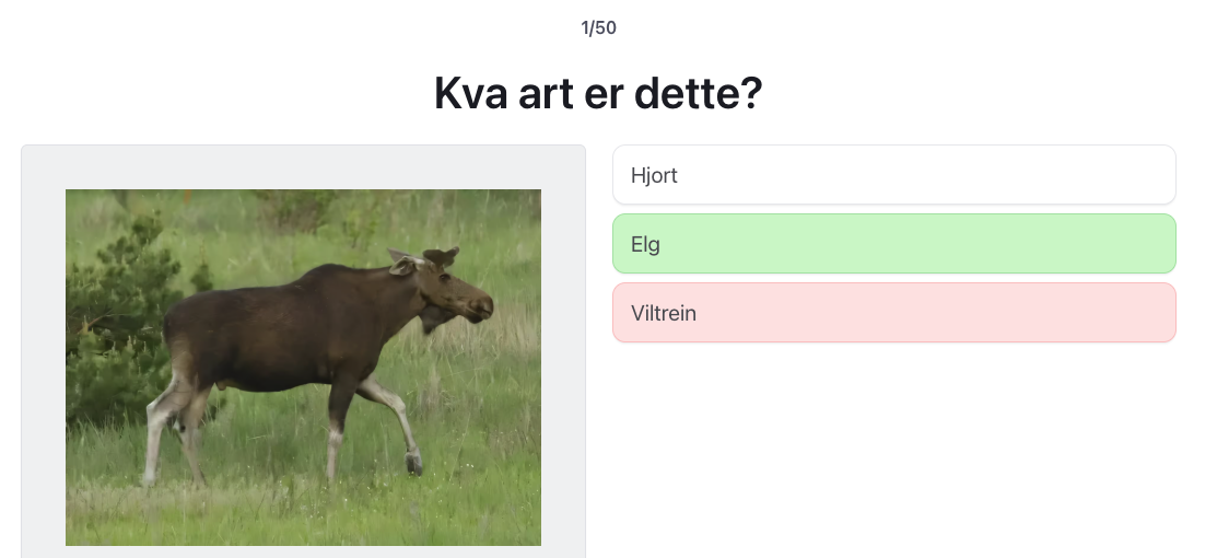 Jegerprøven øvingsoppgaver og test fra Eteo